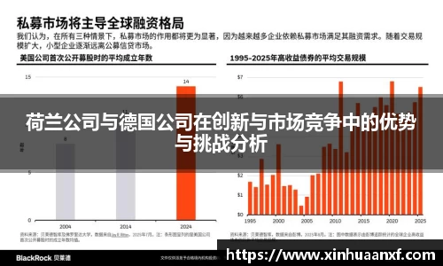熊猫体育荷兰公司与德国公司在创新与市场竞争中的优势与挑战分析